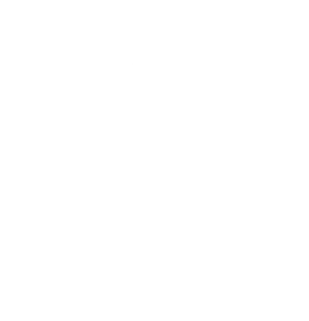 patriothomemortgage.com logo